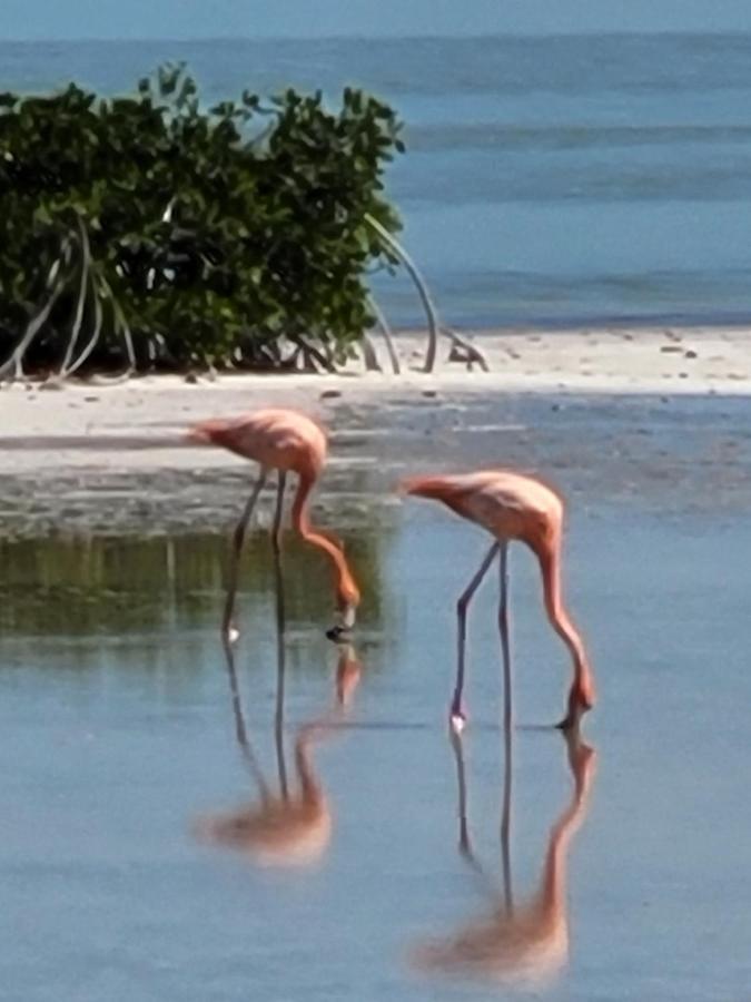 Отель Puerto Del Cielo Чубурна Экстерьер фото